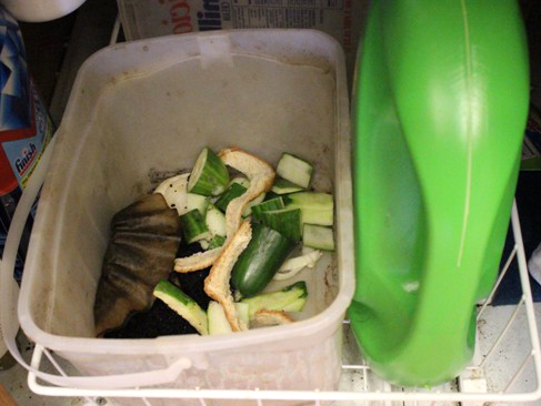 Recycled Ice Cream Bin used under kitchen sink for Composting Bin