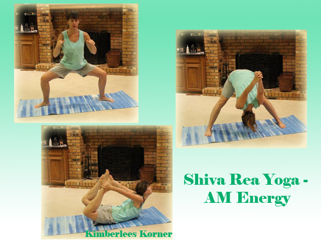 Shiva Rea yoga AM Energy dvd