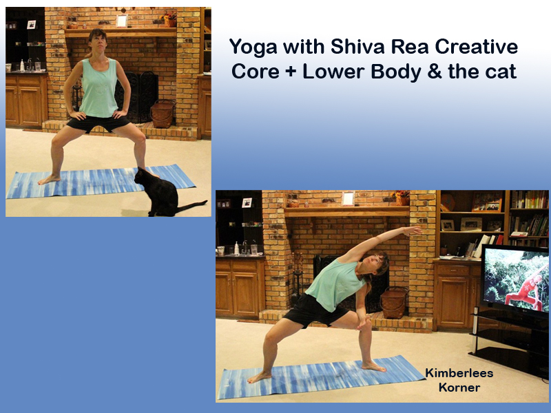 Yoga with Shiva and cat