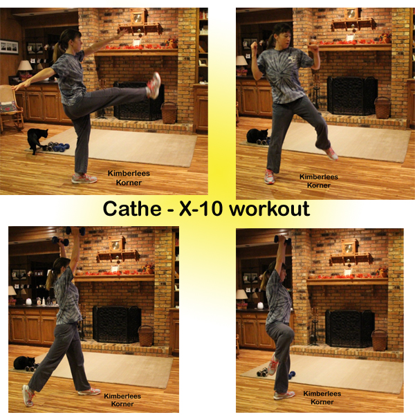 Cathe X10 workout