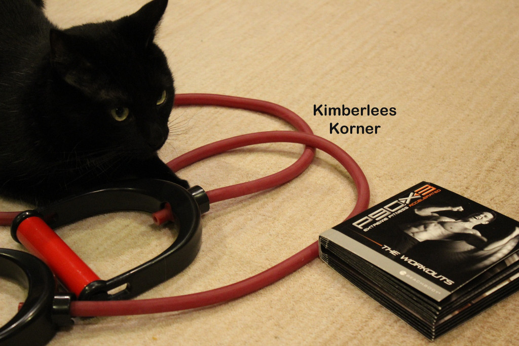 cat workout buddy using the bands