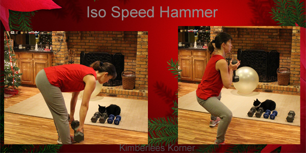 Iso Speed Hammer workout