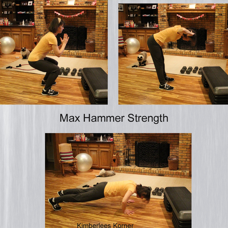 Max Hammer Strength workout completed by Kimberlee from Kimberlees Korner
