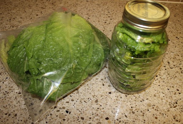 Lettuce placed in ziploc bag or mason jar after hand washed and put through spin cycle in washing machine
