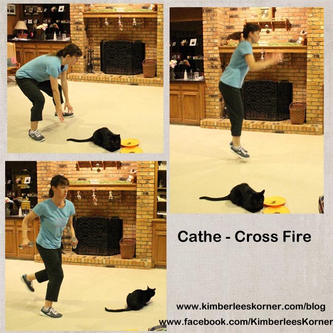 cathe cross fire workout  Kimberlees Korner