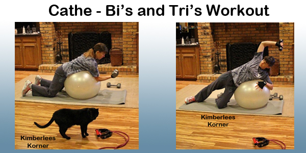 Cathe Bis and Tris workout