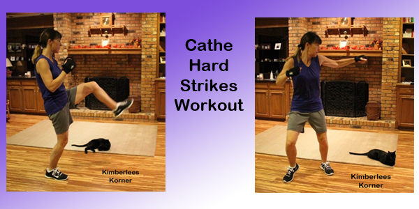 Cathe Hard Strikes workouts