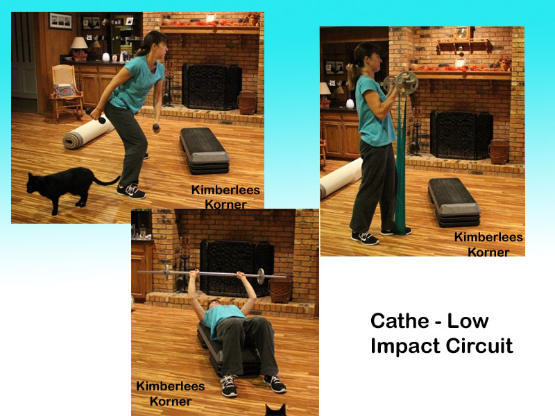 Cathe Low Impact Circuit workout