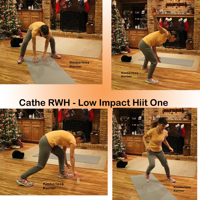 Cathe Low Impact Hiit One